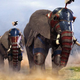 Illustration for article titled Sight Of 400 War Elephants On Horizon Marks Hillary Clinton’s Arrival In Swing State